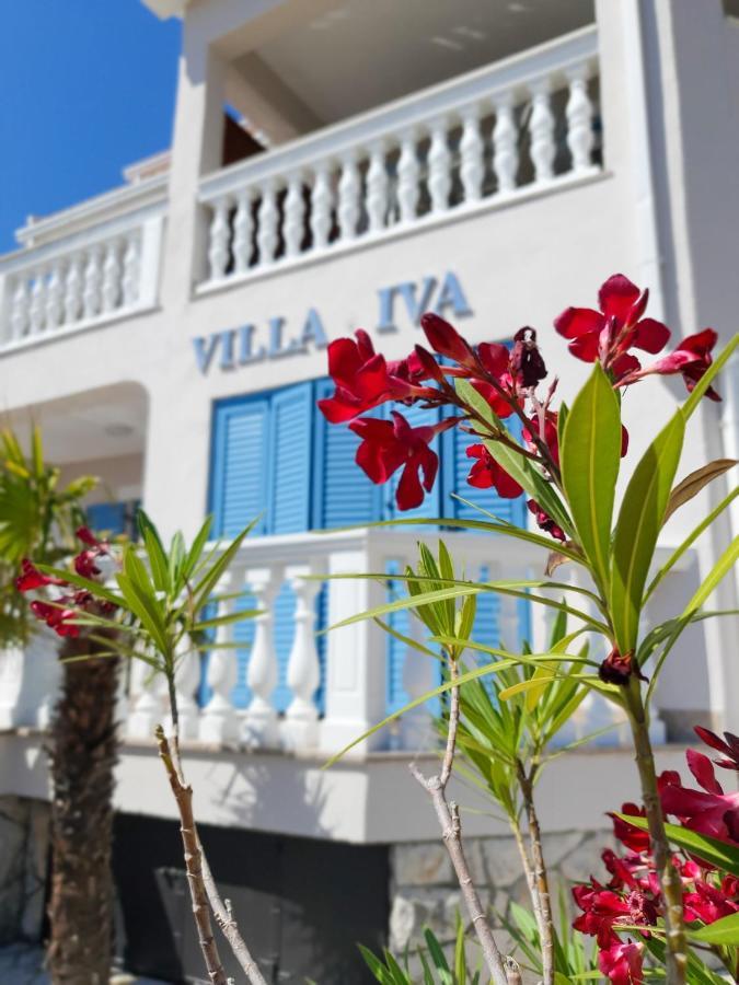 Apartments Villa Iva ラヴニ エクステリア 写真